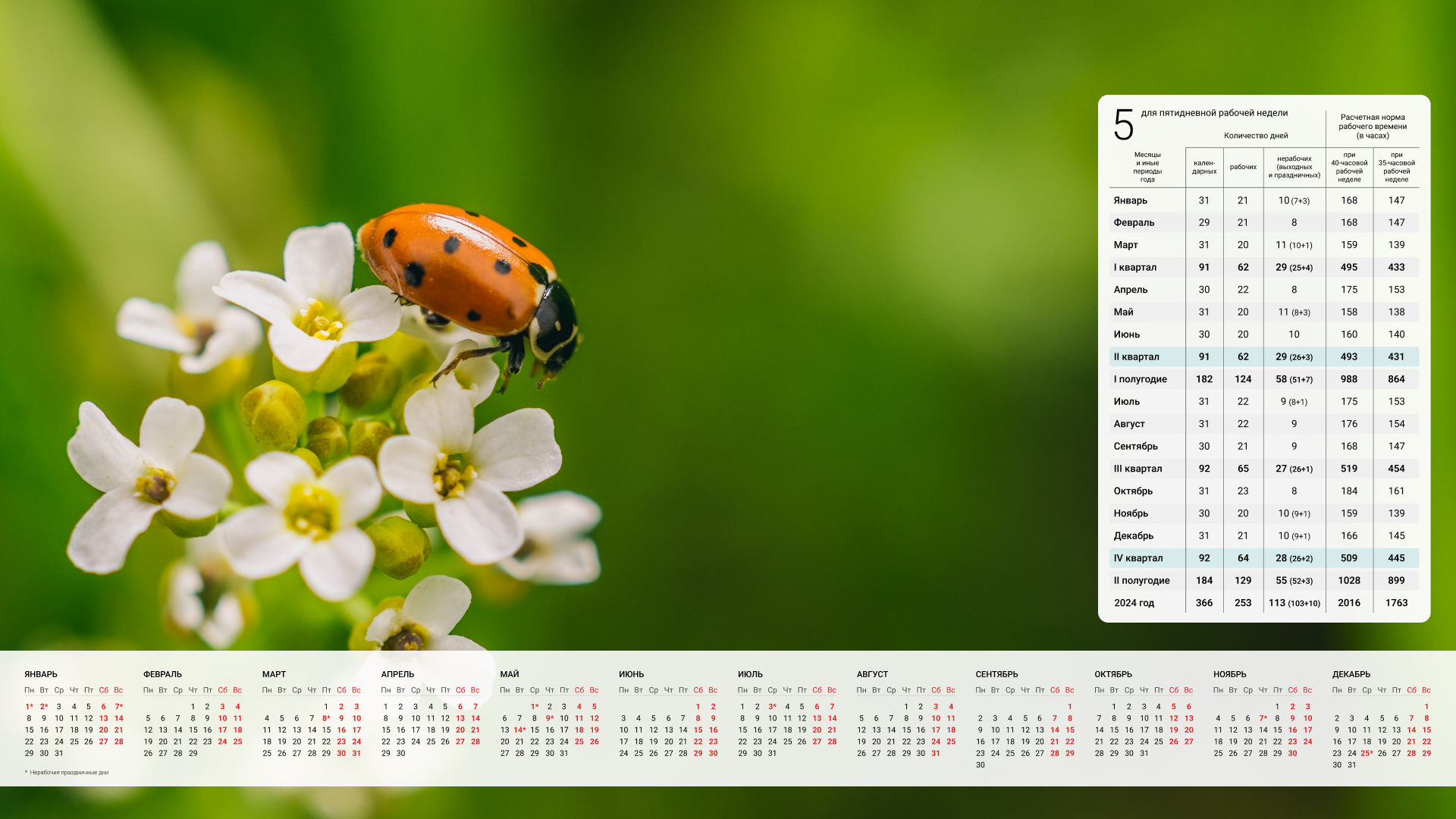 Обои с календарём на рабочий стол кадровика